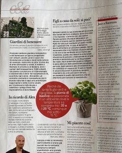 Giardini di benessere - Ecovillaggio