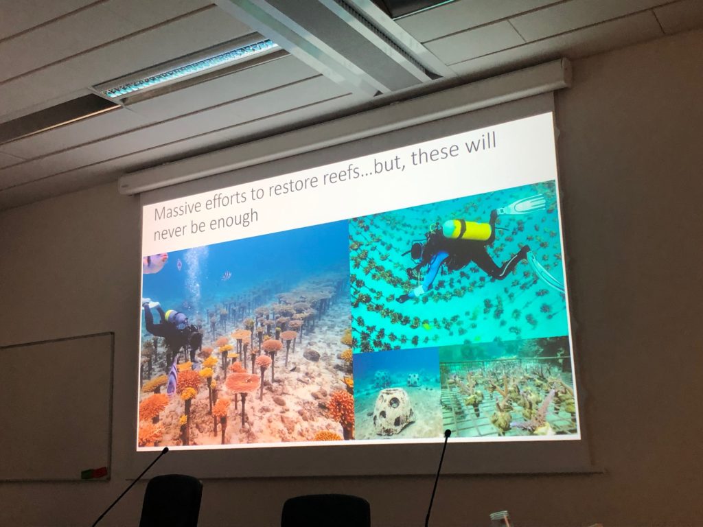 13th International Symposium on Fossil Cnidaria and Porifera